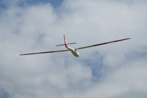 2026-05-30 (8)